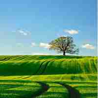 ai智‍能‍写﻿作﻿app